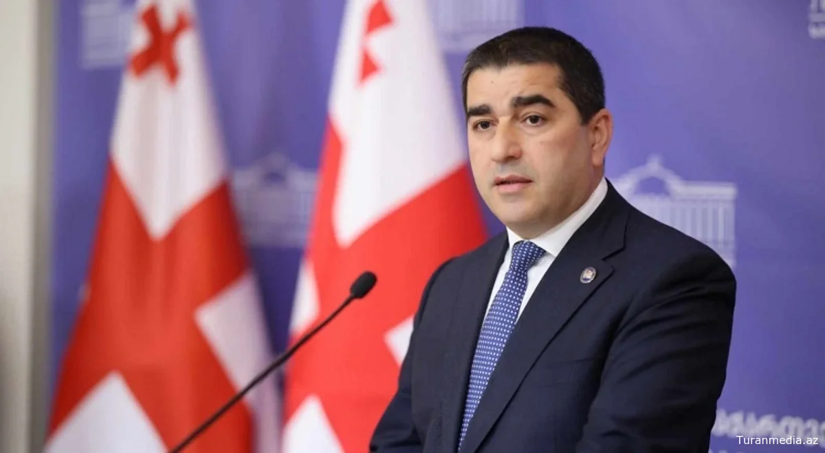 Спикер парламента Грузии призвал послов не вмешиваться во внутренние дела страны