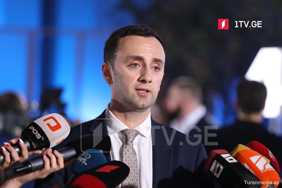 Правящая партия Грузии обвинила посольство Франции в финансировании радикальных организаций
