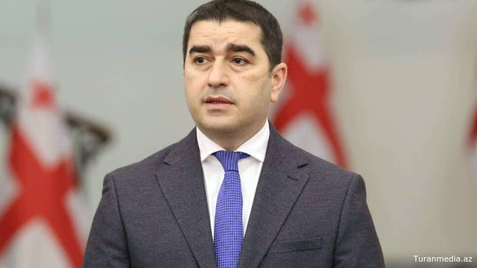 Грузинские власти отреагировали на предупреждения посольств Франции и Польши