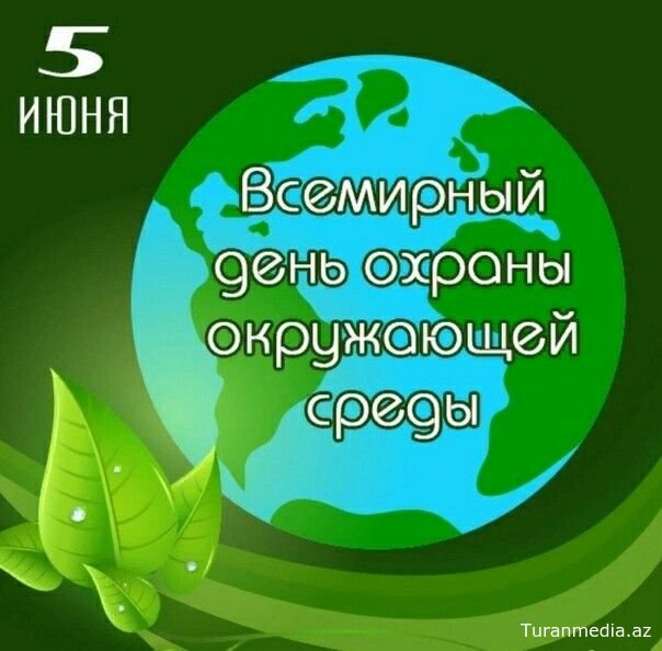 Всемирный день окружающей среды 2025: Южная Корея и мир объединяются в борьбе с пластиковым загрязнением